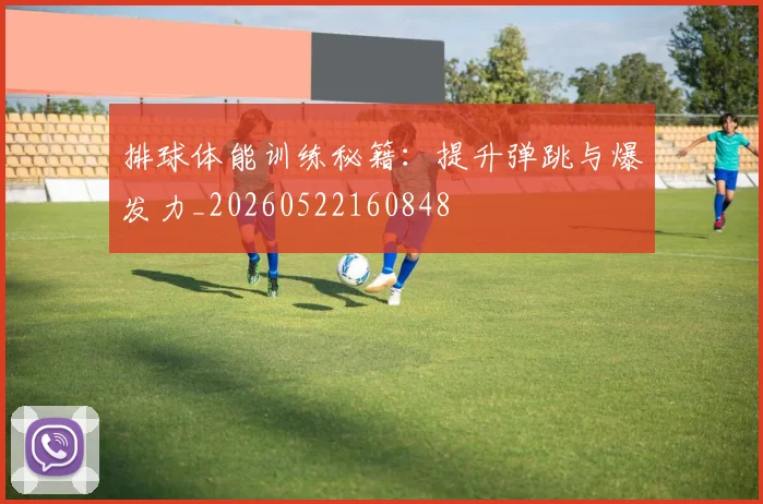 排球体能训练秘籍:提升弹跳与爆发力_20260522160848